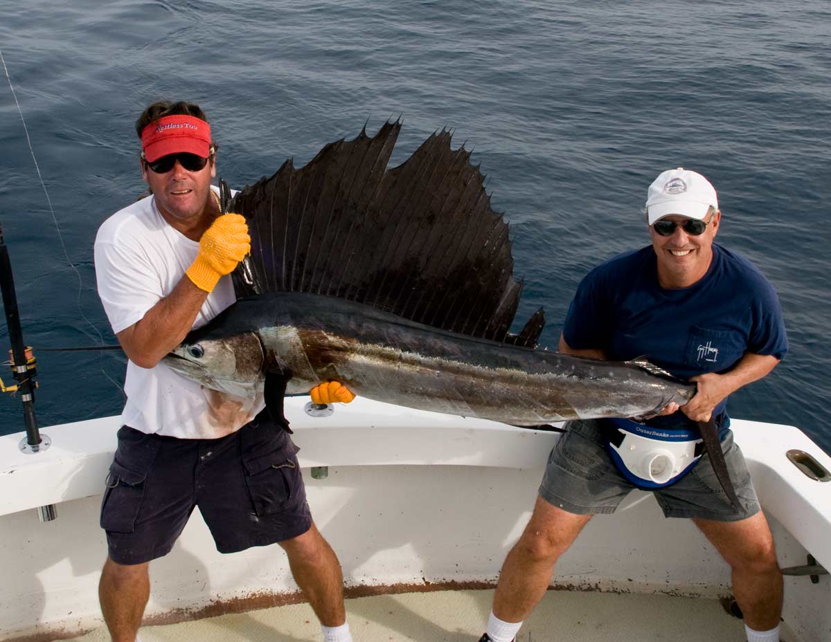 Bob has come back again and caught another sailfish!