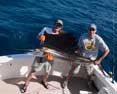 Kevin Groll with a big sailfish caught on 20 pound spinning tackle!